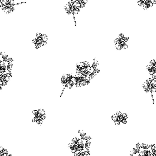 Seamless pattern with black and white phalaenopsis - Vecteur, image