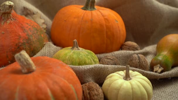 Composition of pumpkin, walnuts and autumn leaves. Falling autumn leaves in slow motion. Autumn still life. Halloween holiday. - Footage, Video