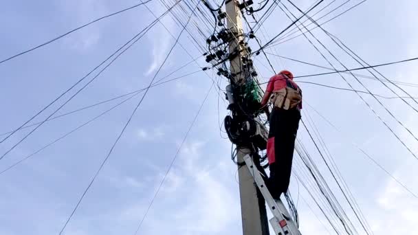 Un électricien essaie de traiter beaucoup de fils sur un support électrique. - Séquence, vidéo
