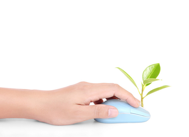 hands using  mouse with  plant - Foto, imagen