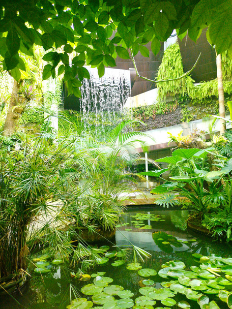 Valokuva kasvitieteellinen puutarha Estepona, Malaga, Espanja, - Valokuva, kuva