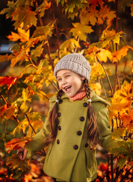 little girl 5 years old with autumn maple leaves laughs - Photo, Image