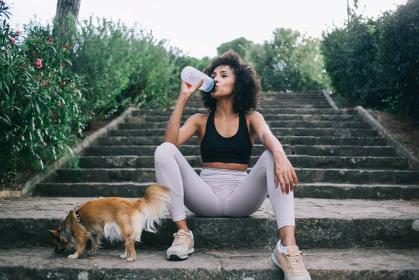 From below of young ethnic woman in sportswear drinking water while recreating after climbing stairs with cute pet in green garden - Fotoğraf, Görsel