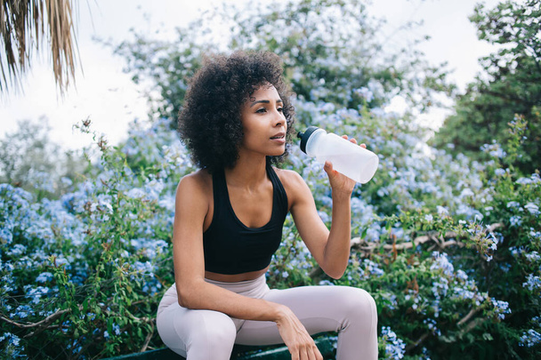 Calm ethnic woman with Afro hairstyle drinking fresh water from sport bottle while relaxing after workout on bench in city park with flowering bushes at daytime - Foto, Bild