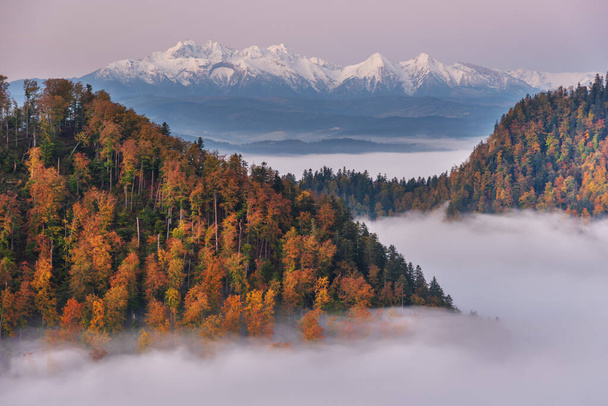 Prachtige landschappen van de herfst bergen bedekt met mist, het bereiken van de verre besneeuwde toppen van de Hoge Tatra - Foto, afbeelding