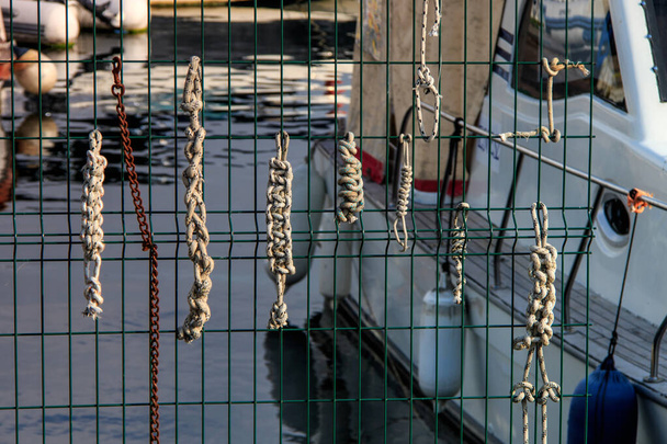 Çitlerde deniz düğümleri - Fotoğraf, Görsel