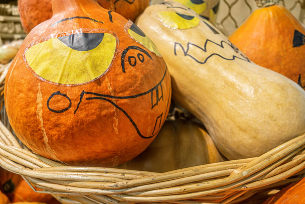 citrouilles halloween pulpeuses mûres dans un panier en osier - Photo, image
