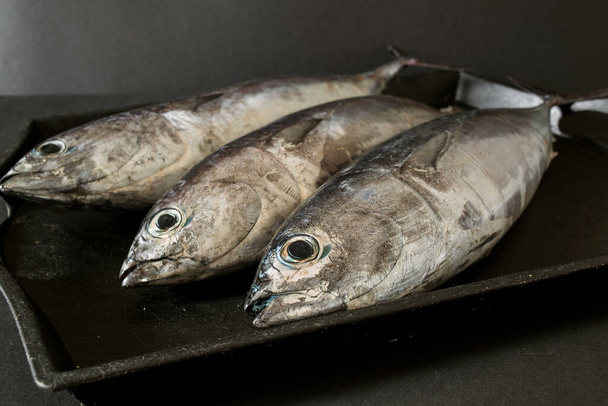 fresh mackerel on a black background - Photo, Image