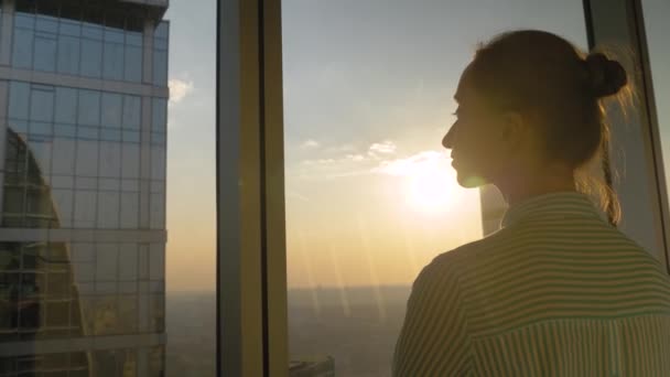 Visão traseira da mulher olhando para a paisagem urbana através da janela de vidro do arranha-céu - Filmagem, Vídeo