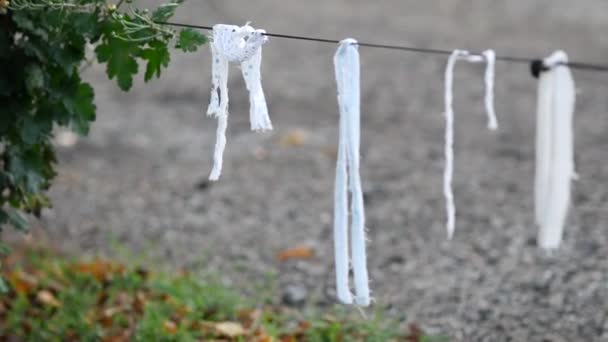 Weiße Seile hängen an einem Draht in der Nähe des Vorgartens. Weiße Lumpen oder Bänder - Filmmaterial, Video