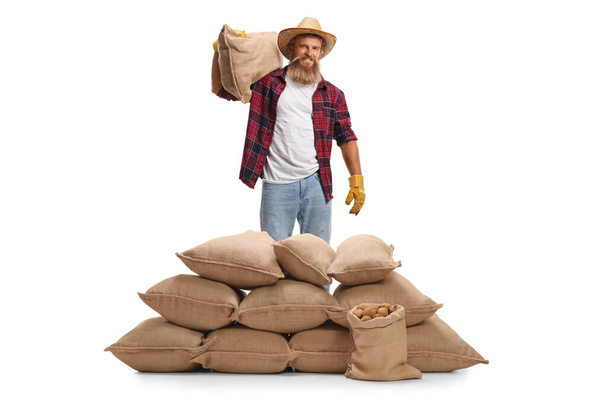 Bearded farmer standing behind a pile of sacks isolated on white background - Photo, Image
