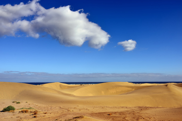 Dune Maspalomas - Foto, Bild