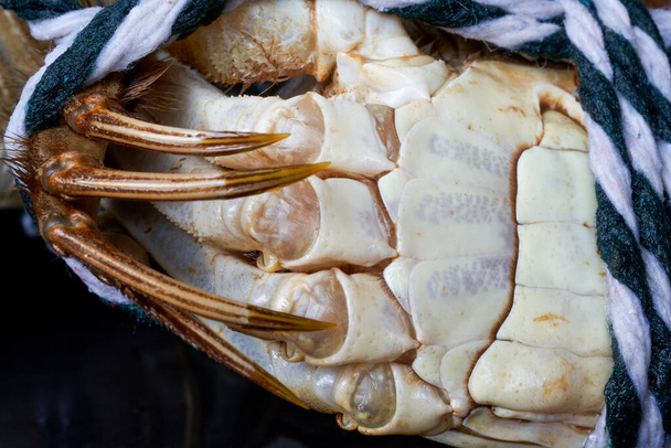 Close-up de caranguejos peludos Yangcheng Lake gordos - Foto, Imagem