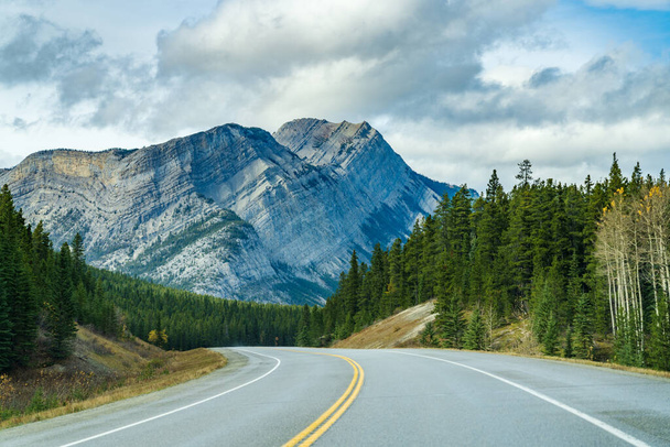 Rural road in the forest with Mount Stelfox in the background. Alberta Highway 11 (David Thompson Hwy), Jasper National Park, Canada. - Фото, изображение