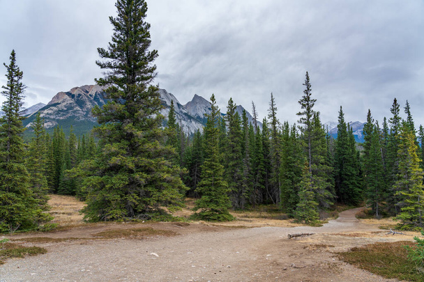 Siffleur Falls Trailhead in Kootenay Plains Ecological Reserve, Ex Coelis Mountain in the background. Jasper National Park, Alberta, Canada. - Photo, Image