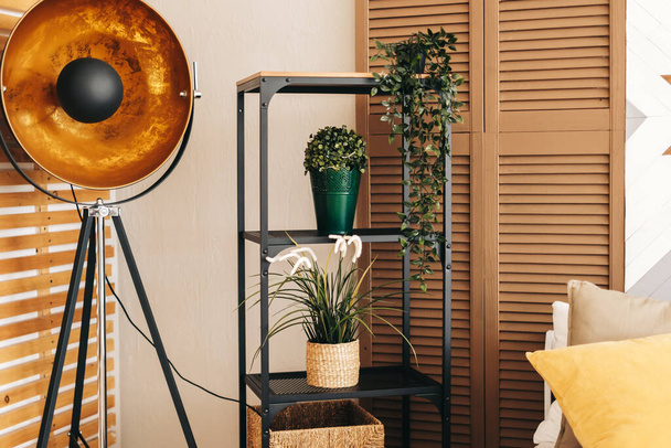 Black metal rack shelving with plants in the bedroom. High quality photo - Foto, immagini