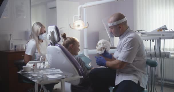 Dentista explicando a estrutura dos dentes humanos para o paciente - Filmagem, Vídeo