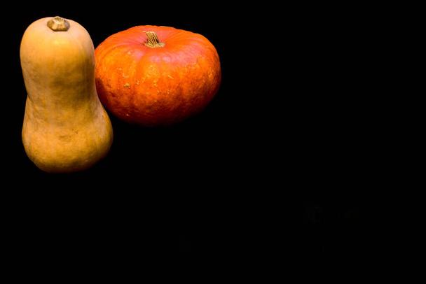 Pumpkin and butternut squash isolated on black absorbing background with copy space and clipping path. Simplicity. Minimalism. Beautiful autumn background - Photo, Image