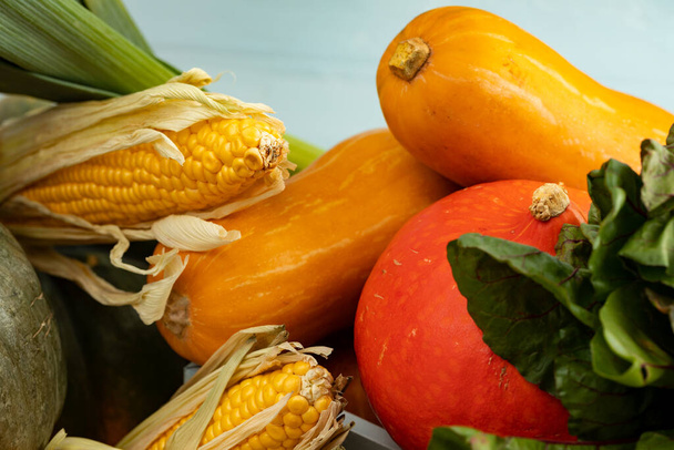 Autumn harvest of pumpkins and other vegetables - Fotoğraf, Görsel