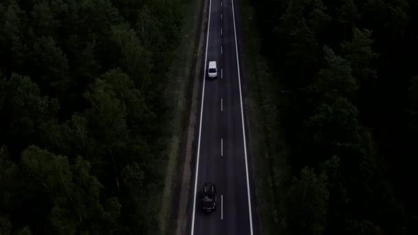 Vol au-dessus d'une route à deux voies avec des voitures au milieu de la forêt verte - Séquence, vidéo