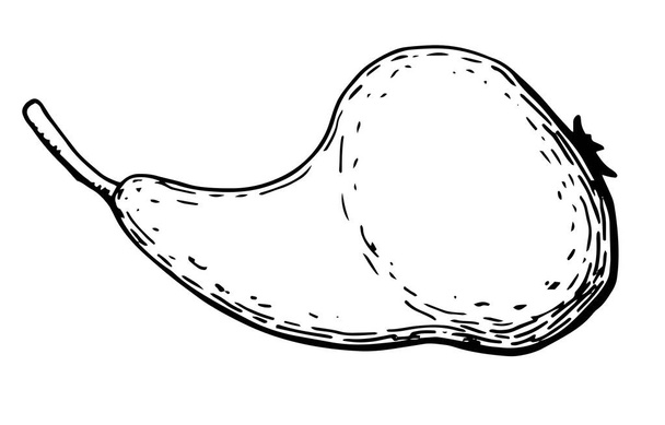 Linear pear on a white isolated background. - Vetor, Imagem