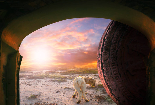 Concept de Pâques : pierre tombale avec moutons et coucher de soleil fond ciel - Photo, image