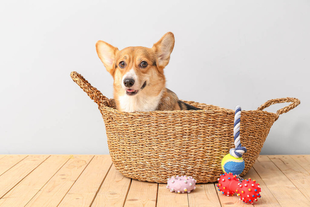 Netter Hund im Korb und mit verschiedenen Haustier-Accessoires zu Hause - Foto, Bild