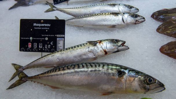 フランスの魚市場での氷の上のシーフード - 写真・画像