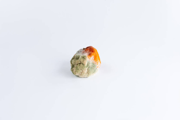 μουχλιασμένο σάπιο πορτοκαλί μανταρίνι σε λευκό φόντο, χαλασμένο φρούτο, κακό παλιό φαγητό, ανέφικτο - Φωτογραφία, εικόνα