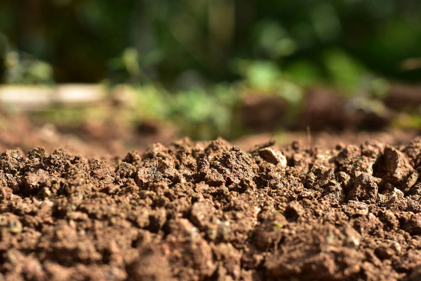 栽培のためのきれいな土壌。土や泥炭は園芸に適しており、 4つの自然の要素の1つです。土地は私たちの地球のための生命です。選択的フォーカス. - 写真・画像