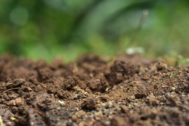 Tiszta talaj termesztésre. A cserepes talaj vagy tőzeg alkalmas kertészkedésre, és a négy természeti elem egyike. A föld a Föld bolygónk élete. Szelektív fókusz. - Fotó, kép