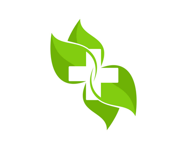Зеленый лист природы с медицинским символом внутри - Вектор,изображение
