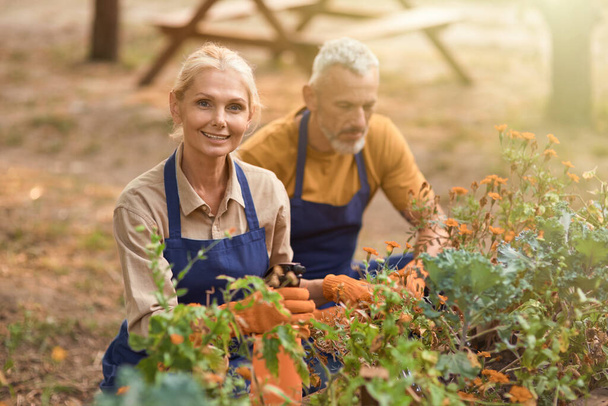 Happy middle aged caucasian spouses working in garden - Photo, image