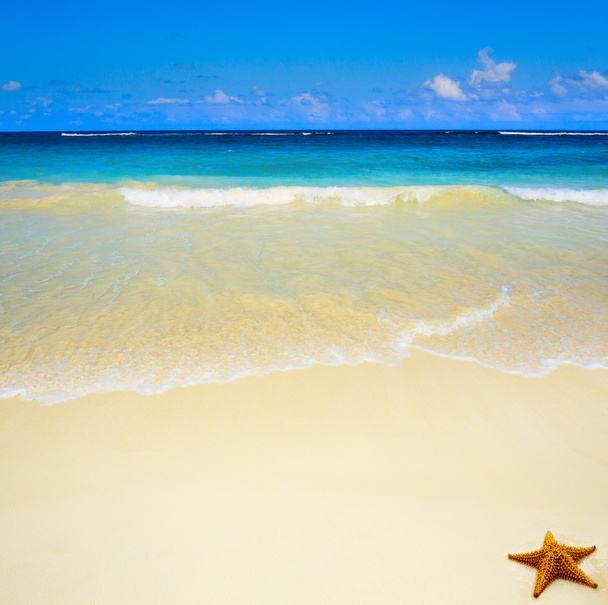 アート美しい手つかずの熱帯の海のビーチ - 写真・画像