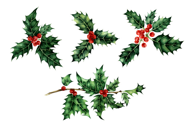 Símbolo de elementos decorativos de Navidad y Año Nuevo. Conjunto de bayas Holly. Ilustración en acuarela aislada sobre fondo blanco. Dibujado a mano. - Foto, Imagen