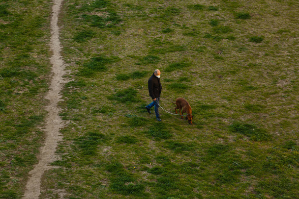 Çimlerle kaplı bir arazinin tepesinde duran bir adam. Çimlerde köpek gezdiren bir adam. - Fotoğraf, Görsel