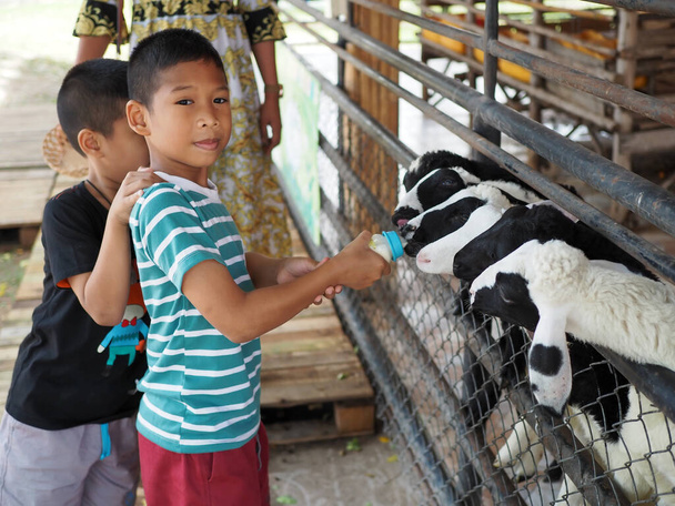 Egy kecsketejjel etetett fiú - Fotó, kép