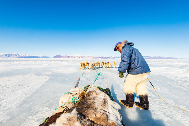 QAANAAQ, GREENLAND, Musher and his dogs on a tourist dog sled trip - Foto, Imagem