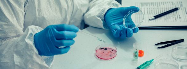 Naukowiec z szalką Petriego w laboratorium - Zdjęcie, obraz