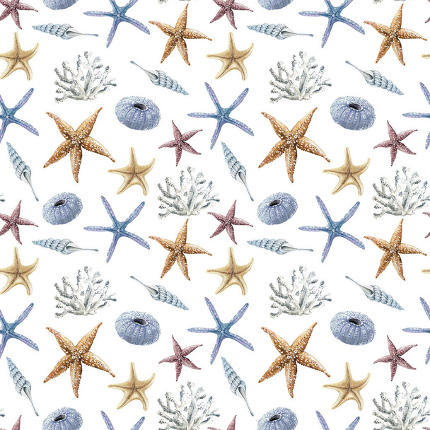 patroon met aquarel illustraties in nautische stijl op witte achtergrond, met de hand geschilderde zee geloften weekdieren en koralen close-up - Foto, afbeelding