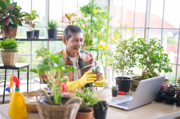 A senior man entrepreneur working with laptop presents houseplants during online live stream at home, selling online concept - Foto, imagen