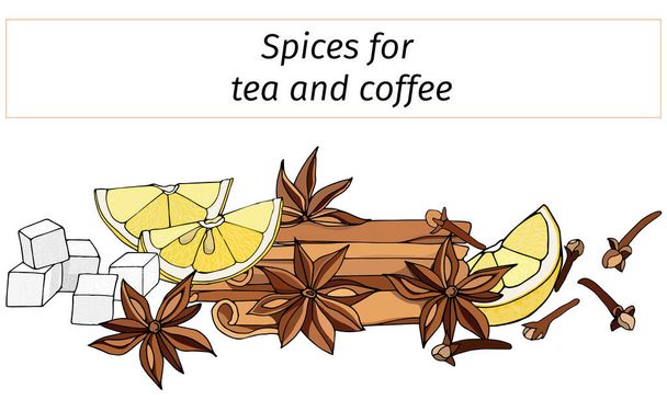 A set of spices for hot winter drinks: cinnamon, anise, lemon and vanilla. Vector illustration isolated on white background. - Vector, Image
