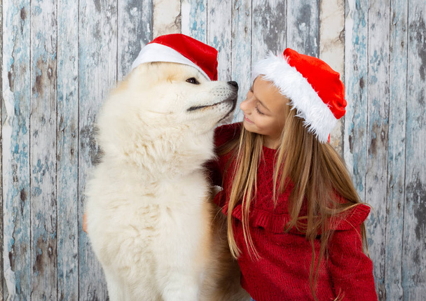 дівчина і собака дивляться один на одного в капелюхах Санти, різдвяна концепція
 - Фото, зображення