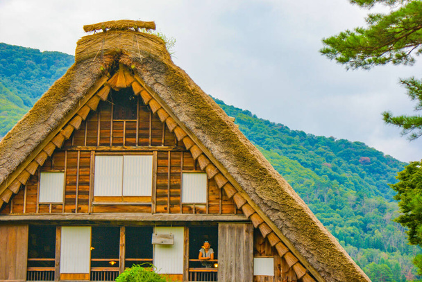 Thatched eski özel çatı evi (Shirakawa-go) - Fotoğraf, Görsel