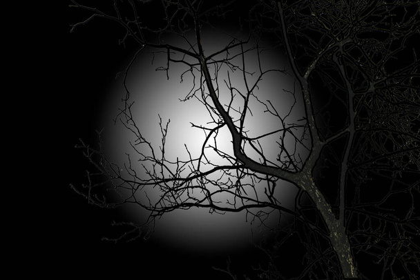 Silhouet van een boomtak op een zwart-wit verloop. - Foto, afbeelding