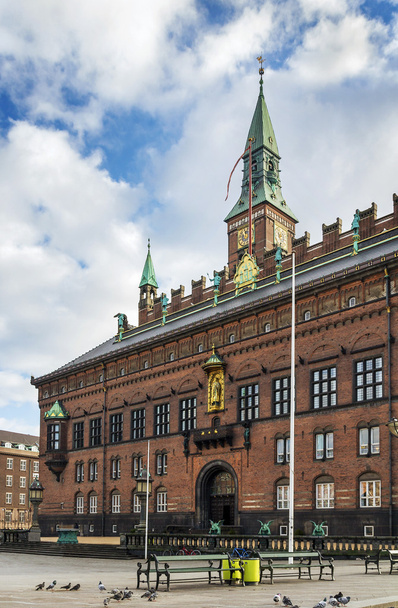 Copenhagen City Hall - Fotografie, Obrázek