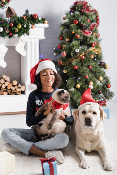 joyeuse fille afro-américaine tenant un chat moelleux assis près du labrador et de l'arbre de Noël  - Photo, image