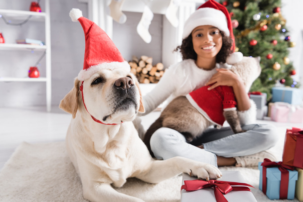 labrador dog in santa hat touching gift box near cheerful african american girl with cat on blurred background - Photo, Image