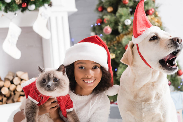 happy african american girl smiling at camera while holding fluffy cat near yawning labrador dog on blurred background - Photo, Image