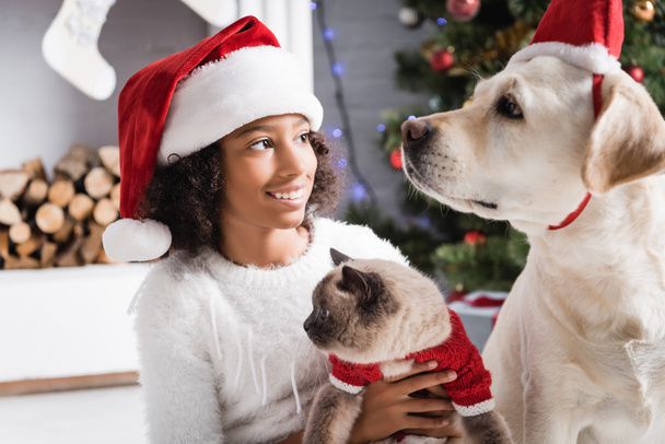 lächelnde Afroamerikanerin mit Weihnachtsmütze, die Labrador-Hund ansieht, während sie flauschige Katze auf verschwommenem Hintergrund hält - Foto, Bild